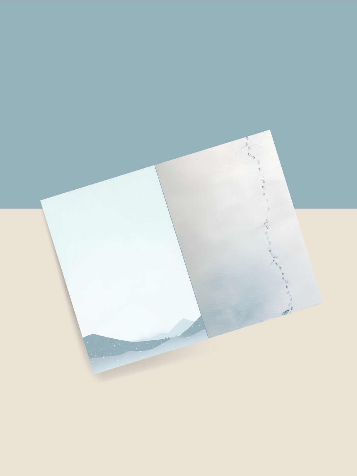 Path-Not-Taken (Limited Edition)