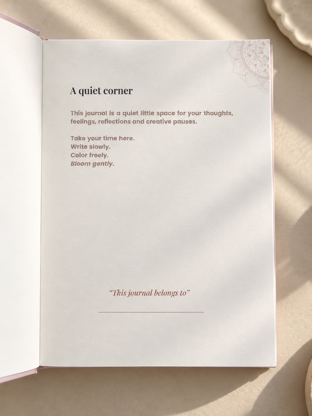 PAUSE & BLOOM