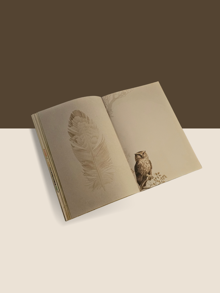 Feather and Folklore